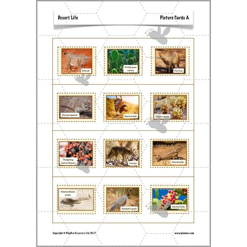 Product image 70