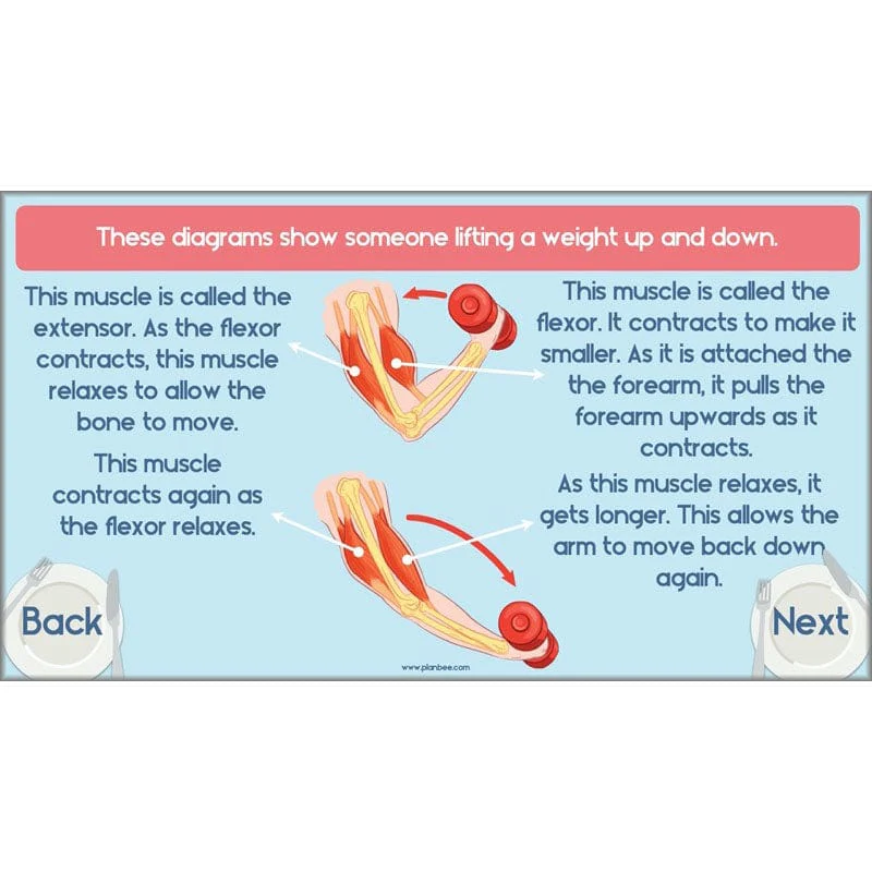 Product image 76