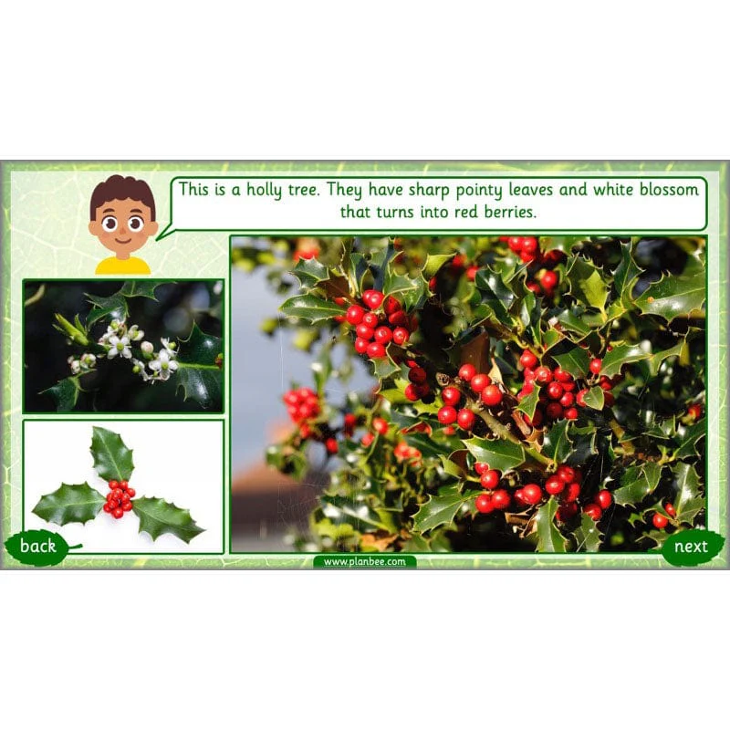 Product image 52