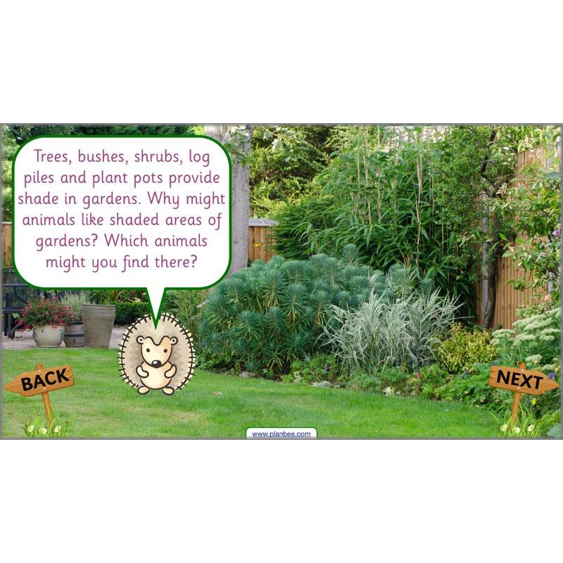 Product image 46