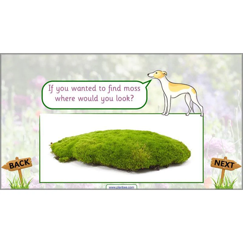Product image 65