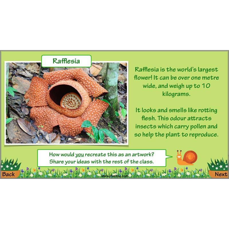 Product image 75