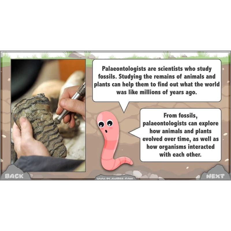 Product image 67