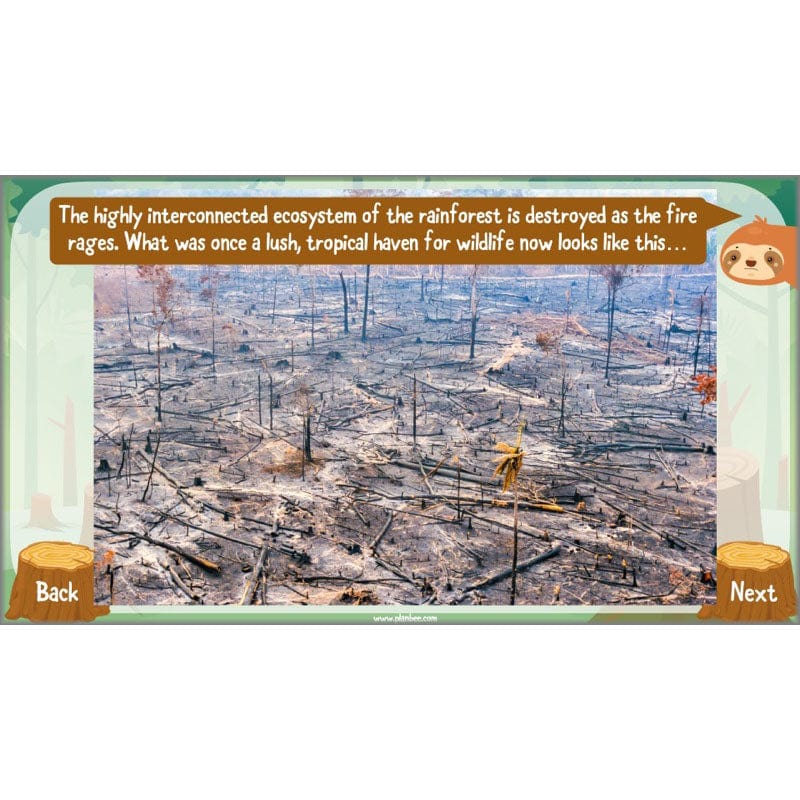 Product image 47