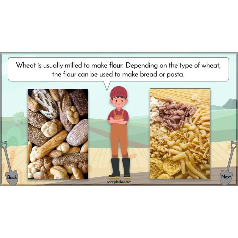Product image 31